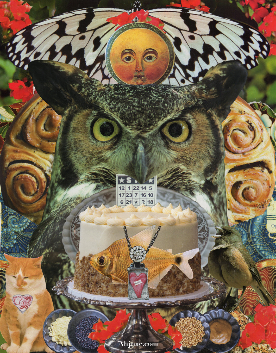 Owls Eyes