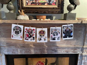 Jack Russel Terrier One-Sided Blank Greeting Card