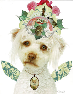 White Schnoodle card